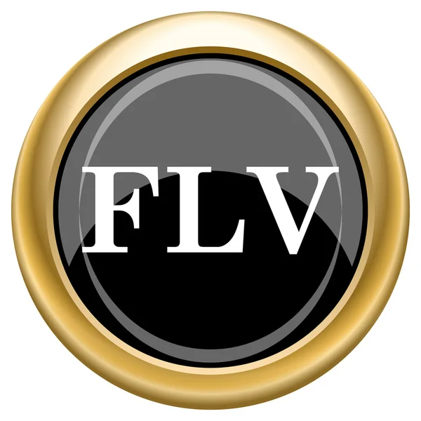 Значок FLV — стоковое фото