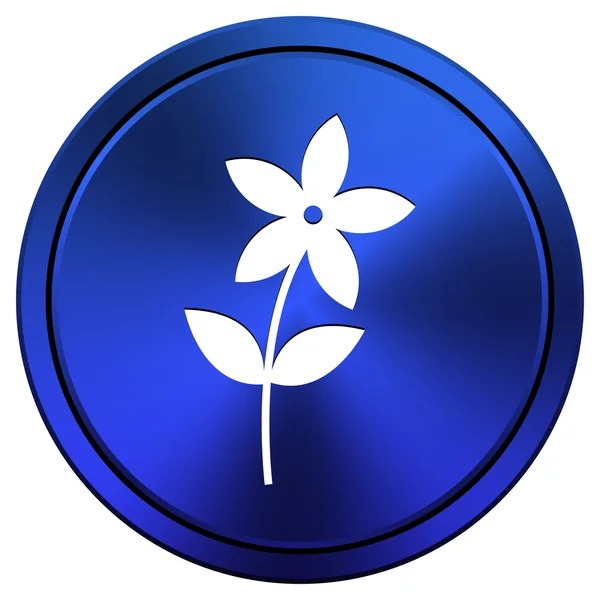 Flower icon — Stock Photo, Image