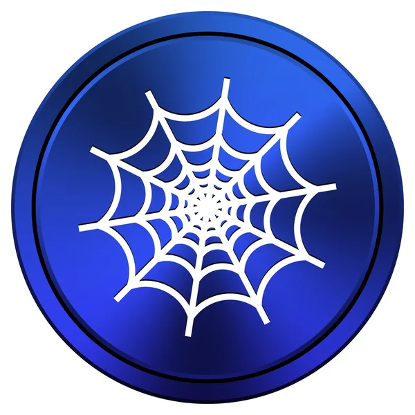 Icono web Spider — Foto de Stock