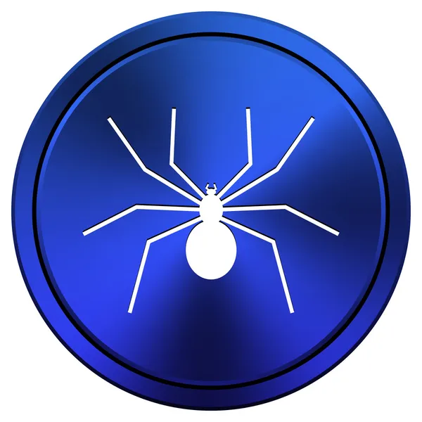 Spider icon — Stock Photo, Image