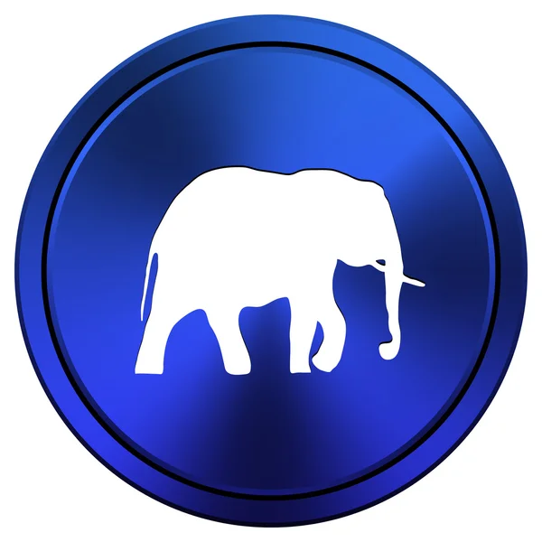 Olifant pictogram — Stockfoto