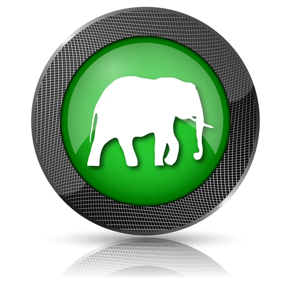 Elephant icon — Stock Photo, Image