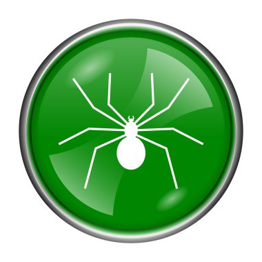 örümcek simgesi