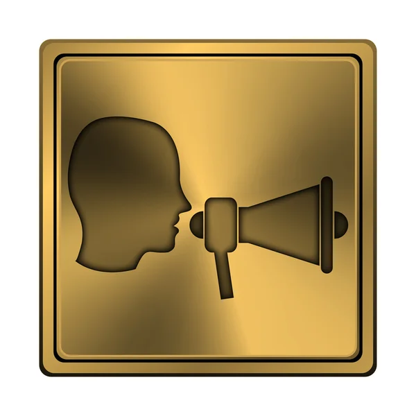 Megaphone icon — Stock Photo, Image