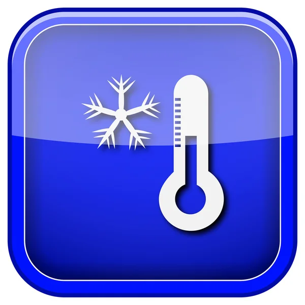 Snowflake için termometre simgesi — Stok fotoğraf