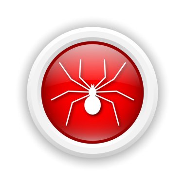 örümcek simgesi