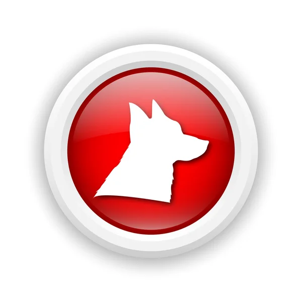 Pies ikona — Zdjęcie stockowe
