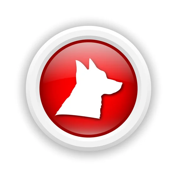 Dog icon — Stock Photo, Image