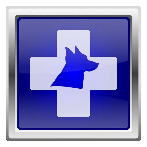 Veterinaire pictogram — Stockfoto