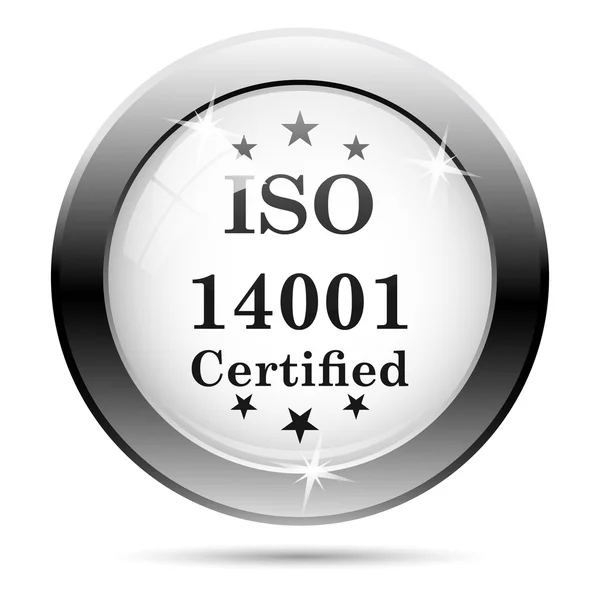 Iso14001 图标 — 图库照片