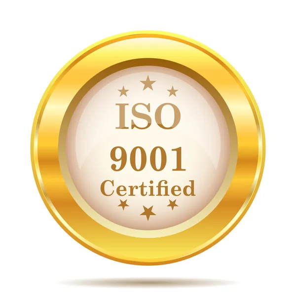 Iso9001 图标 — 图库照片