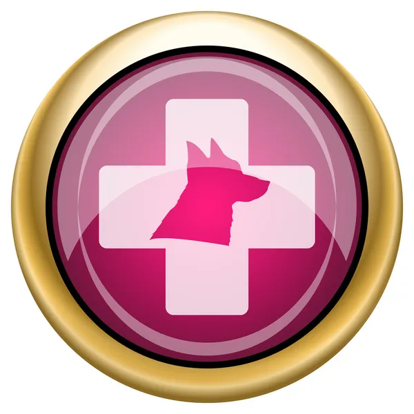 Veterinary icon — Stock Photo, Image