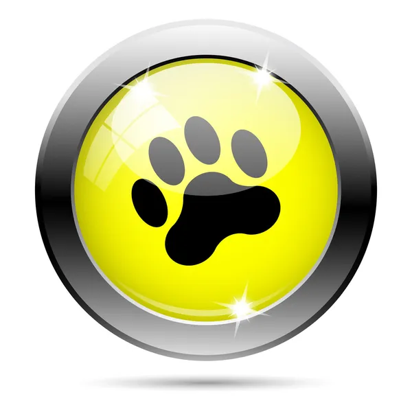 Paw print icon — Stock Photo, Image