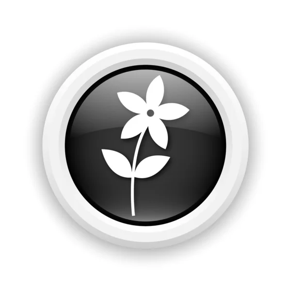 Flower icon — Stock Photo, Image