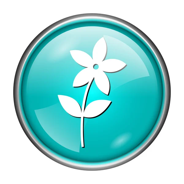 Flower icon — Stock Photo, Image