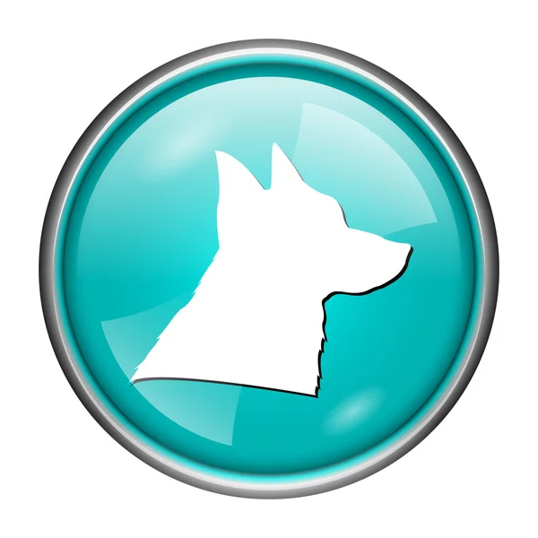 Dog icon — Stock Photo, Image