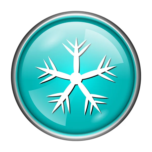 Icona del fiocco di neve — Foto Stock