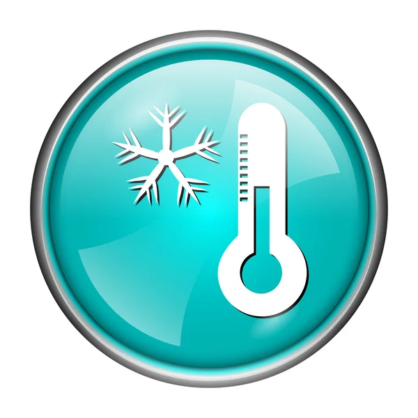 Snowflake için termometre simgesi