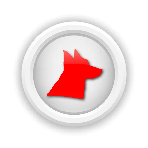Dog icon — Stock Photo, Image