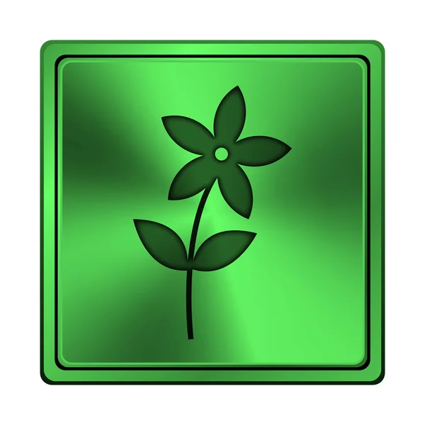 Flower  icon — Stock Photo, Image