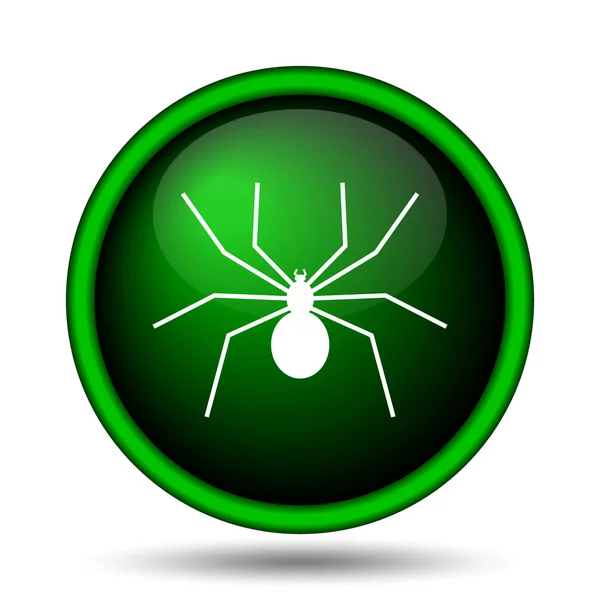 Icono de araña — Foto de Stock