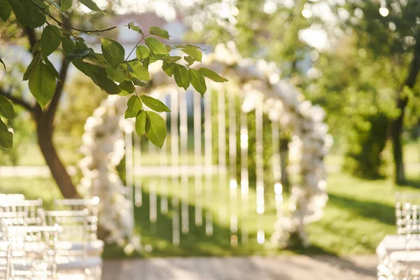 Green leaves of a tree close-up illuminated by sunbeams. Wedding arch on background — Stock Photo, Image