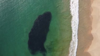 Okyanusta yağ tabakası var. Zümrüt yeşili deniz ve büyük köpüklü dalgaların havadan görünüşü. Hint Okyanusu. Dikwella plajı. Sri Lanka