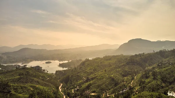 Luftaufnahme Von Teeplantagen Sri Lanka Blick Vom Adam Peak Auf — Stockfoto