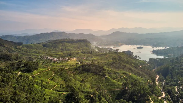 Sri Lanka Daki Çay Tarlalarının Havadan Görünüşü Adam Tepesi Nden Telifsiz Stok Fotoğraflar