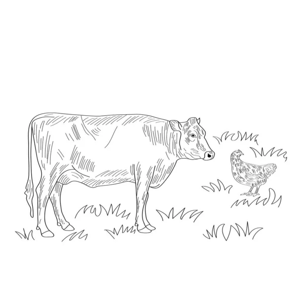 牛和鸡在草地上 矢量说明 — 图库矢量图片