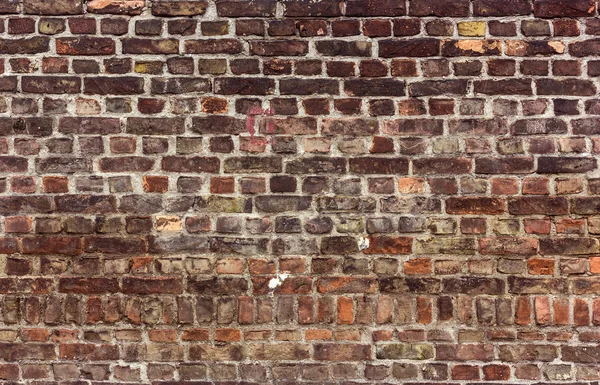 Brick wall — Stock Photo, Image