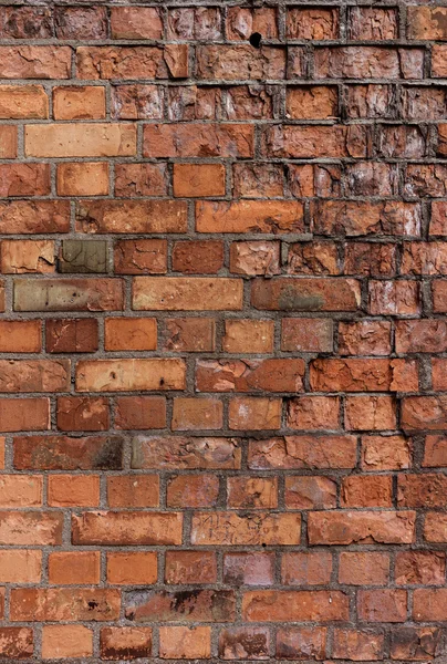 Brick wall — Stock Photo, Image