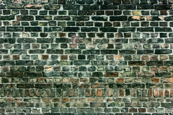 Brick wall — Stock Photo, Image