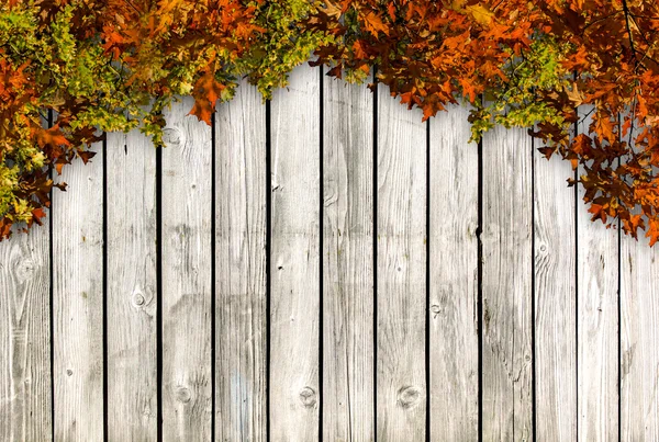 Tavola bianca con foglie autum colorate — Foto Stock