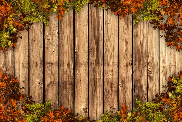 Wooden board with autum coloured leaves — Stockfoto