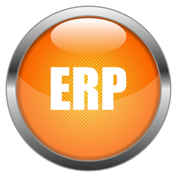 Botão de vetor ERP —  Vetores de Stock