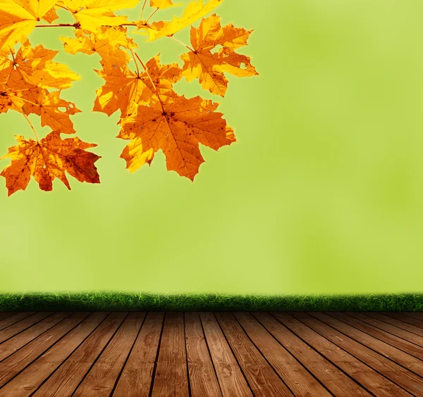 Čerstvý podzimní pozadí — Stock fotografie