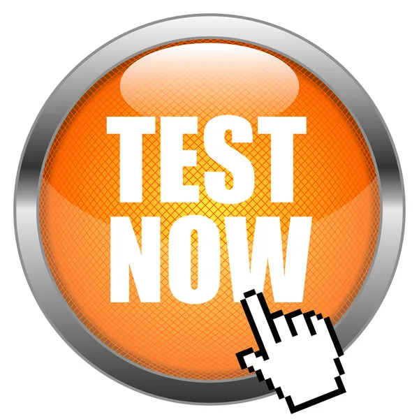 Vector Button Test Now — Stock Vector