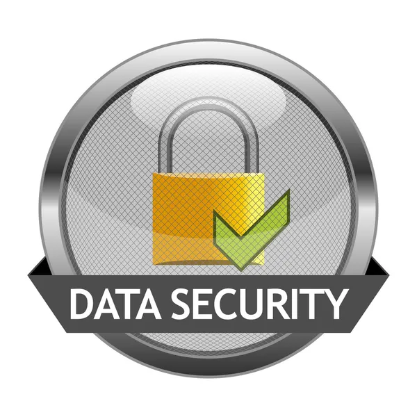 Vector Button Data Security — Stock Vector