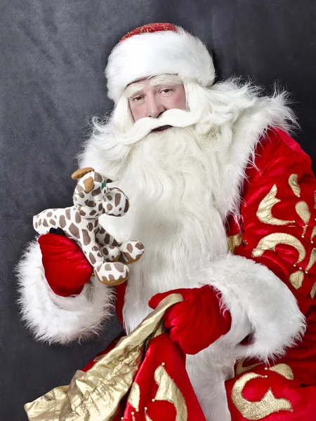 Santa Claus — Stock Photo, Image