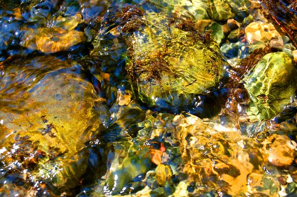 Creek uitgevoerd — Stockfoto