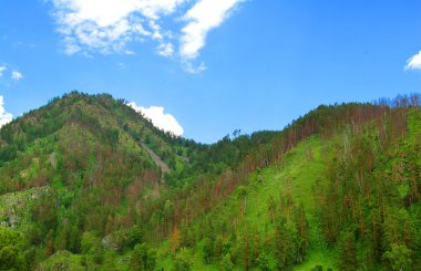 Seyahat