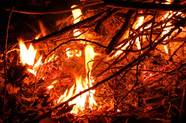 Bonfire — Stock Photo, Image