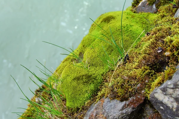 Natuur — Stockfoto