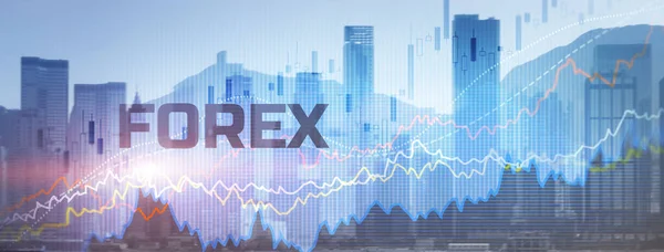 Business Investment concept. Forex Trading 2022 — Stock Photo, Image