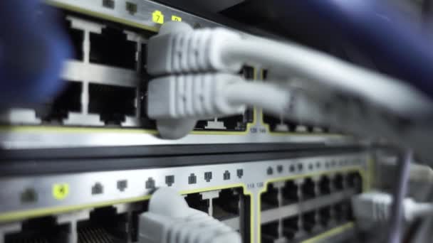 Ян Крупный план. Маршрутизатор с кабелями Ethernet на сервере Network Wan. — стоковое видео