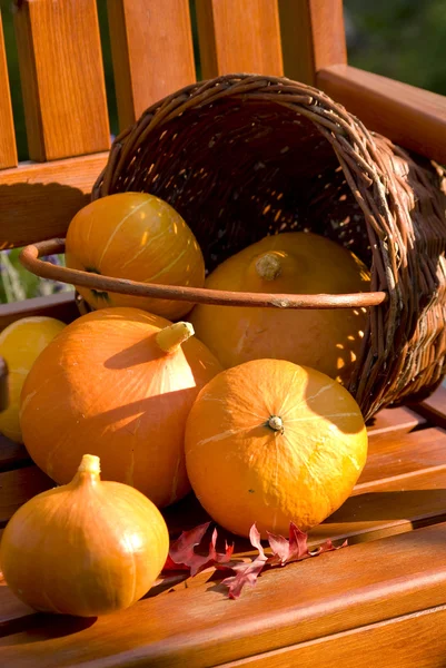 Pumkins on wooden chair — Stock Photo, Image