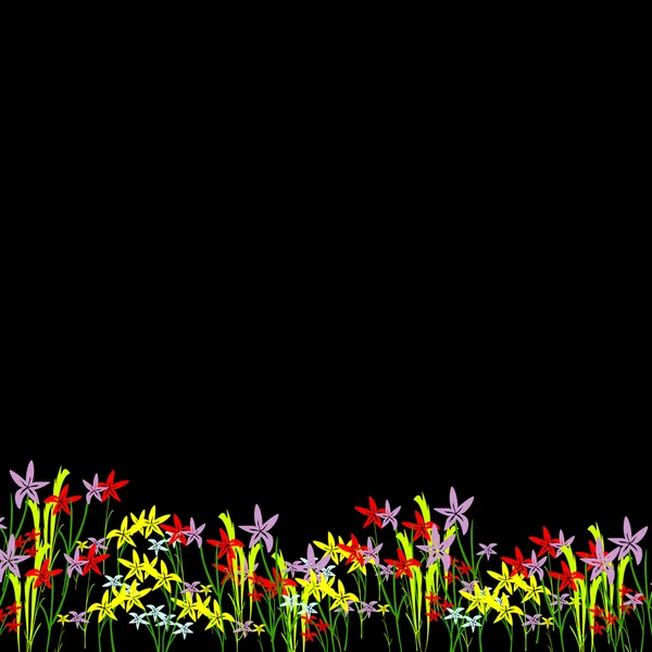 Květiny na černém pozadí — Stockový vektor