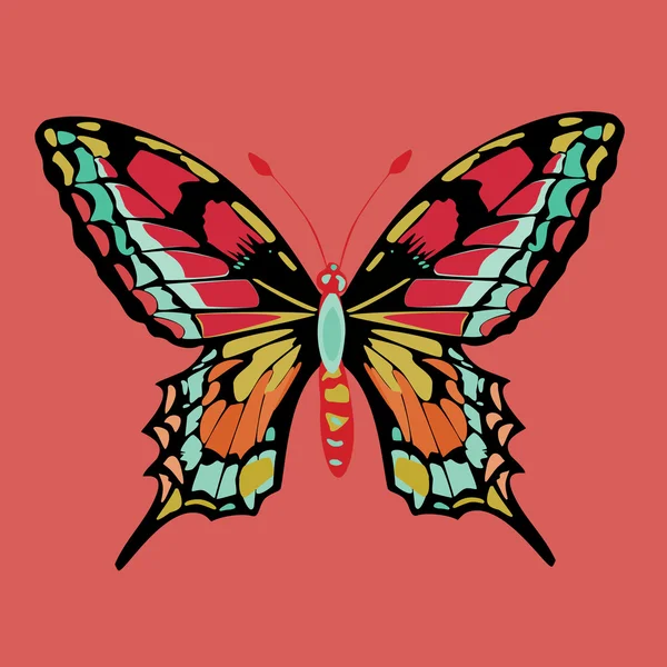 Butterfly — Stock Vector