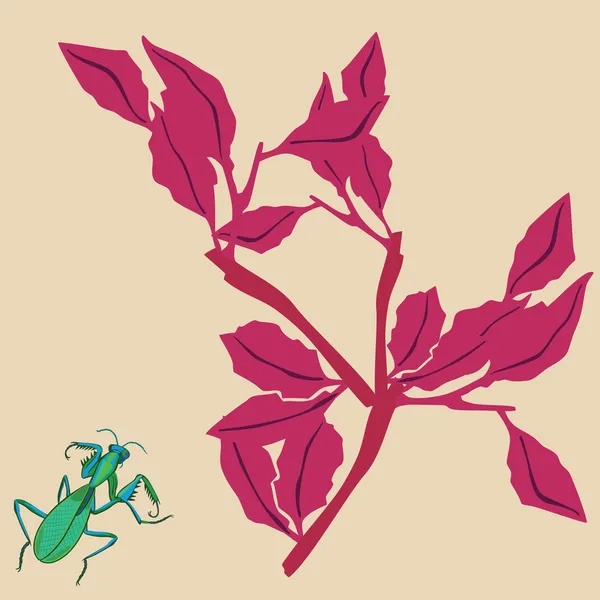 Mantis y planta — Vector de stock